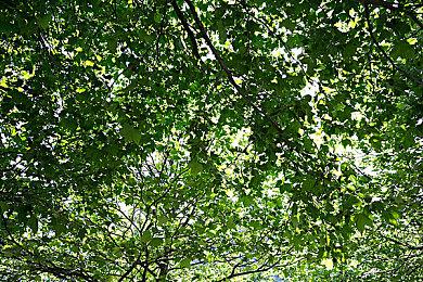 任天堂状告欧洲网盘提供盗版游戏下载获赔44万欧元