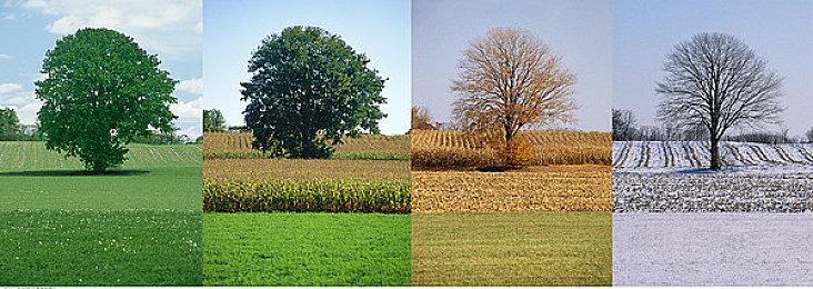 MachineGames发布招聘启事 即将开发3A级大作